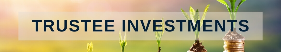 trustee investment guide